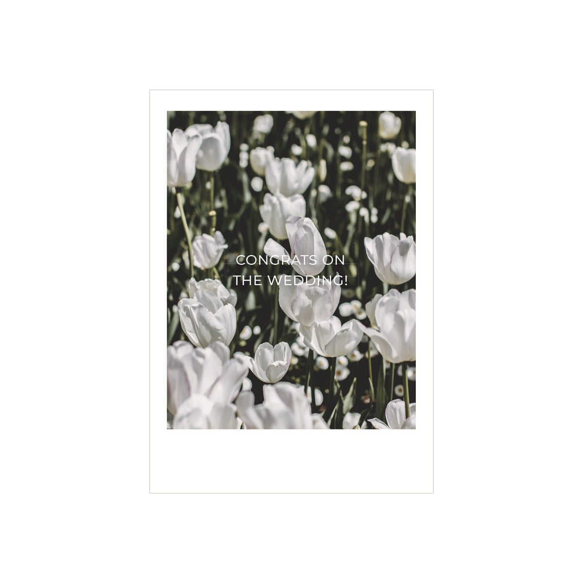 De Matriks Postkaart Polaroid Congrats On The Wedding Dubbel A6 heeft witte tulpen en "Congrats on the wedding!" in het midden - ideaal voor A6 wenskaarten.