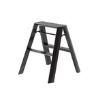 De Hasegawa Lucano Ladder 2 Step Zwart van Hasegawa heeft een strak Japans ontwerp. Dit zwarte opvouwbare opstapkrukje staat op vier poten en combineert eenvoud en moderne stijl tegen een witte achtergrond.