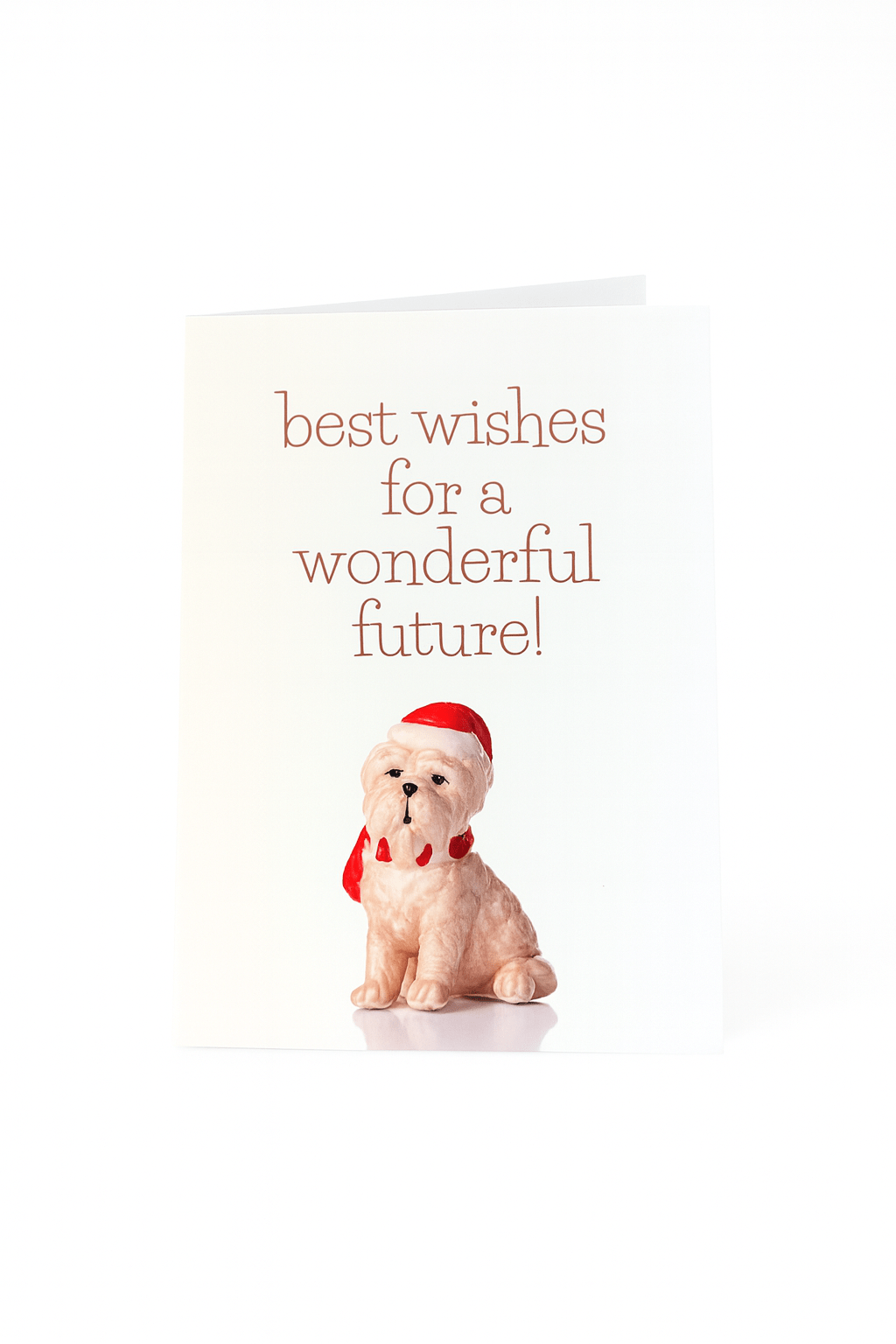 Stuur kerstsfeer met de Matriks Kerst- en Nieuwjaarskaart Best Wishes for a Wonderful Future met een schattige hond met kerstmuts en sjaal - perfect alleen of in combinatie met een unieke kerstbal van Matriks.