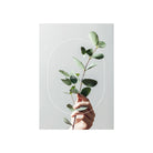 Een hand houdt een groene bladertak vast tegen een lichtgrijze achtergrond op de Matriks Postkaart Lijn Thinking Of You Dubbel A6 van Matriks, met "THINKING OF YOU" in witte tekst gecentreerd in een dunne ovaal.