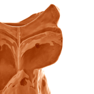 Close-up van de Serax Marni After Midnight Uil Vaas Oranje S, een oranje keramieken vaas van Serax, in de vorm van een abstracte uil met spitse oren en gestileerde gelaatstrekken, tegen een witte achtergrond.